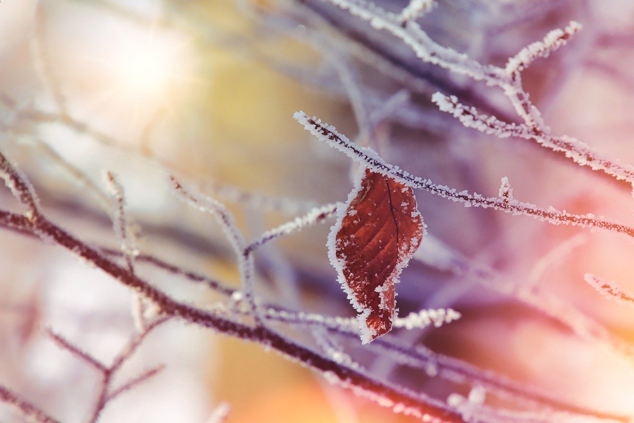 How to Paint a Beautiful Winter Landscape Scene